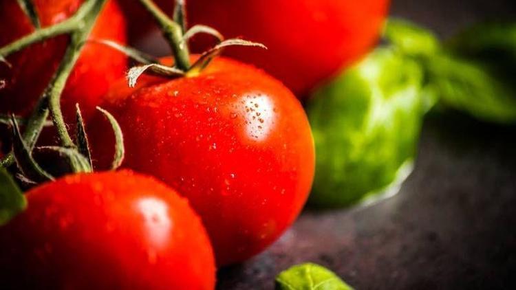 Prostat kanserinin ilacı domates