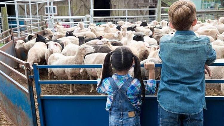 Kurban hangi durumlarda çocukta travma oluşturur