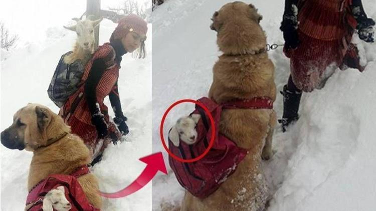 Sosyal medyada en çok paylaşılan fotoğrafın sırrı