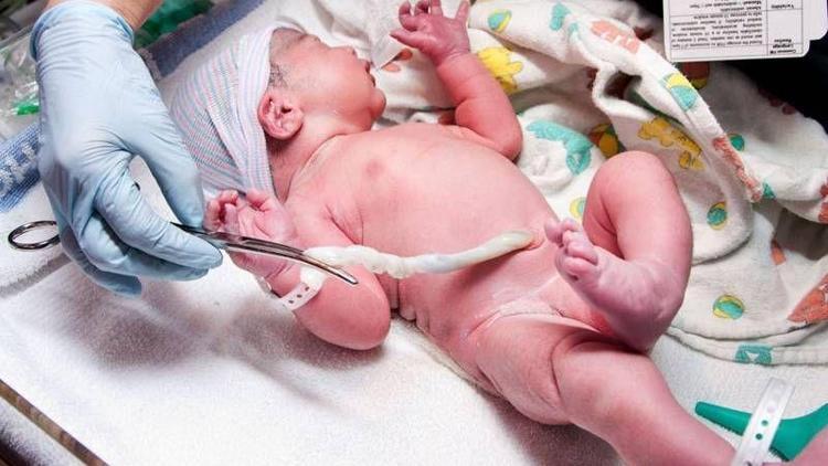 Bebek kordonunda bile zararlı kimyasal tespit edildi