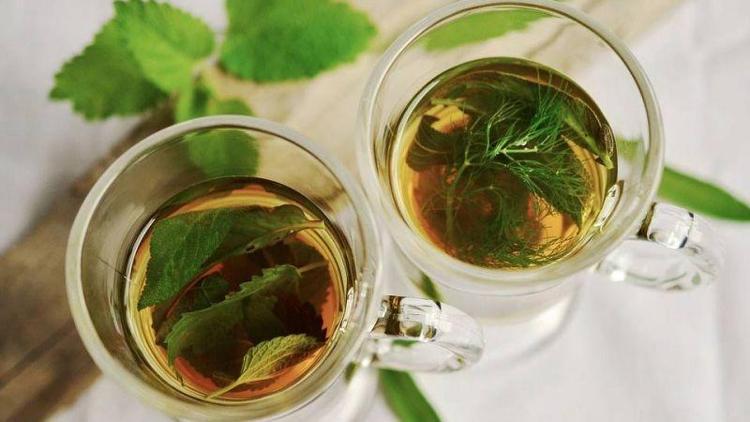 Hangi bitki çayı nelere faydalı?