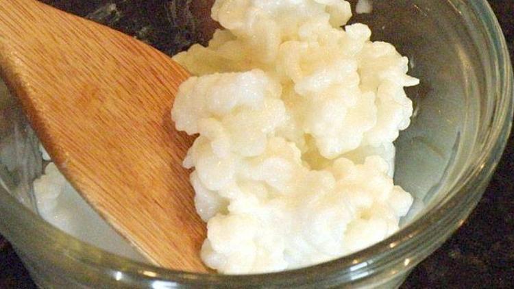 Kefir, anne sütünden sonra dost bakterilerin en önemli kaynağı