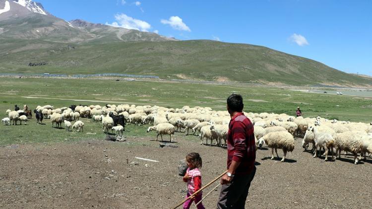 Maaşlar 4 bin TL: Eleman bulamamaktan şikayetçiler...