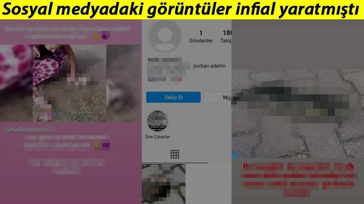 Valilik’ten sosyal medyadaki kan donduran görüntülerle ilgili açıklama