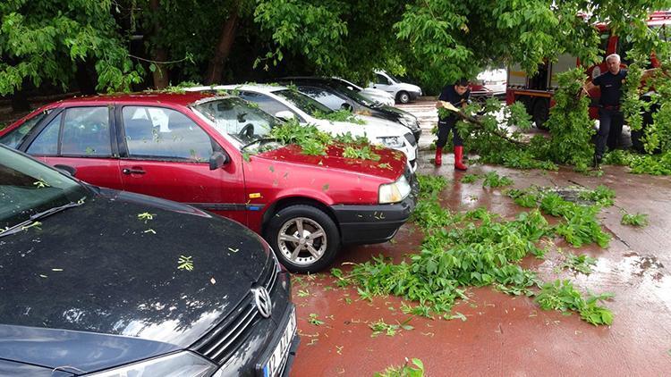 Ağaç, park halindeki otomobillerin üzerine devrildi