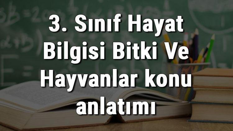 3. Sınıf Hayat Bilgisi Bitki Ve Hayvanlar konu anlatımı