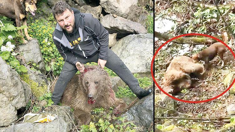 Vurduğu ayıyı köpeklere parçalatmıştı... O cani serbest
