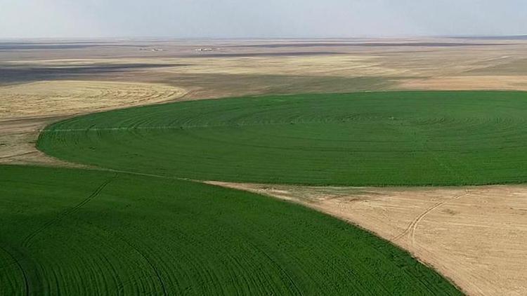 Yılın ilk 6 ayında 182 bin tarla, 154 bin arsa satıldı