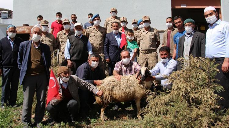 Şehit babası, 3 teröristi etkisiz hale getiren asker ve polis için kurban kesti