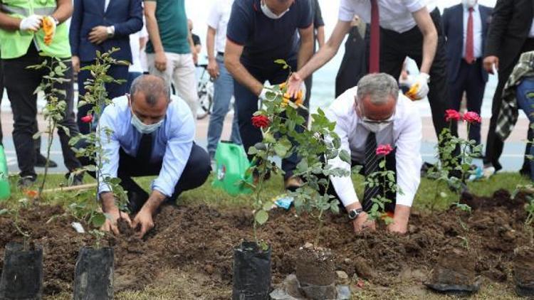 Ordu’da, 251 şehidin anısına fidan dikildi