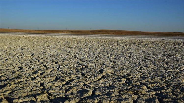 Küresel ısınma için büyük araştırma Türkiyeden başlıyor