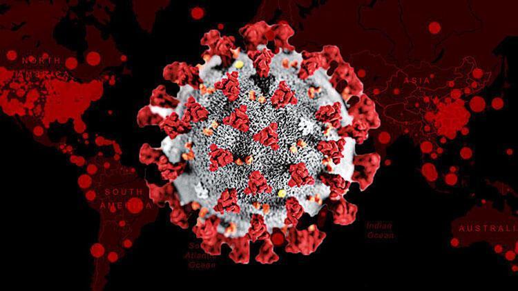 Dünya genelinde koronavirüs vaka sayısı 14 milyonu aştı