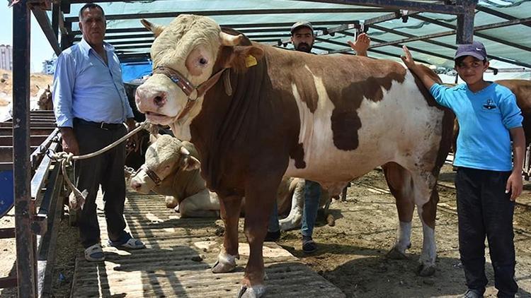 Kredi kartıyla veya taksitle kurban kesilir mi