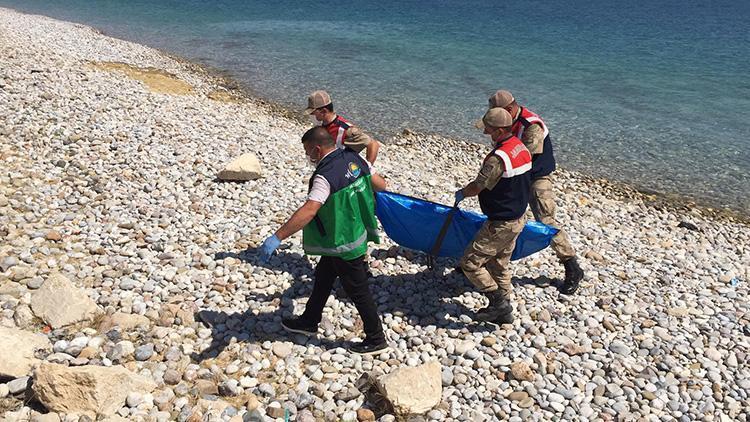 Son dakika... Van Gölünde batan tekneden 3 acı haber daha Sayı 59a yükseldi