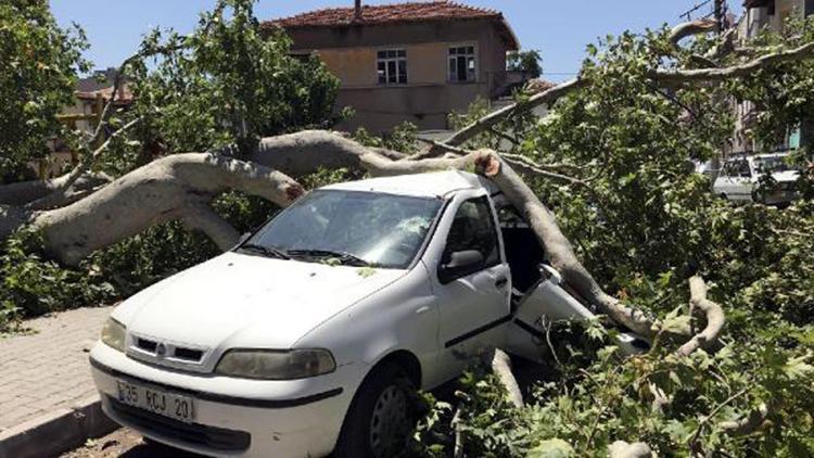 650 yıllık çınar ağacı devrildi: 3 otomobil ve 1 evin duvarı hasar gördü