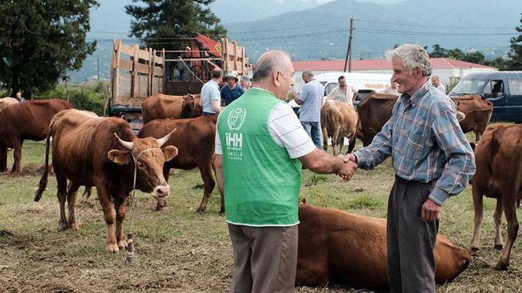 İHH kurban fiyatını belirledi