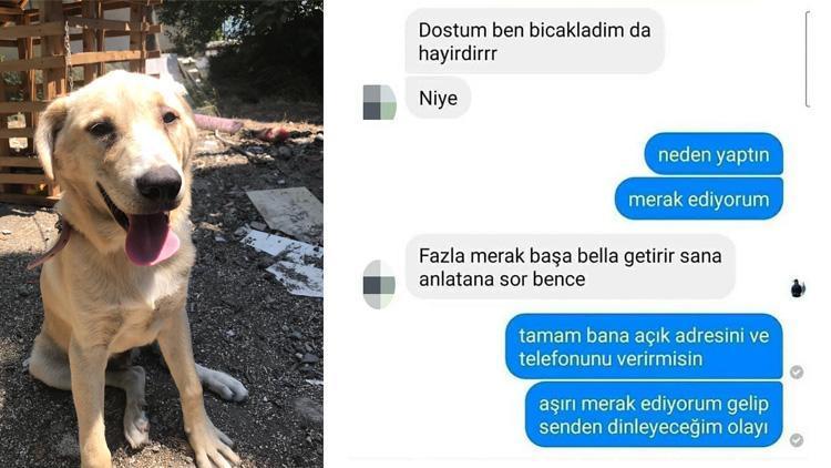 Bıçakladı, serbest kaldı, katletti Neden yaptın sorusuna utanmadan bu cevabı verdi