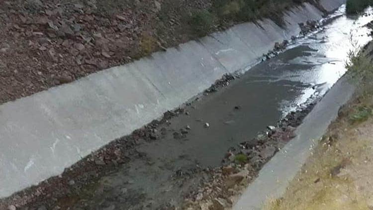 Gümüşhane’de balık ölümlerinin nedeni belli oldu