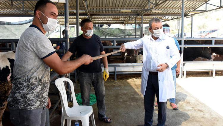 İzmirde kurban pazarı denetiminde sopayla kurban pazarlığı