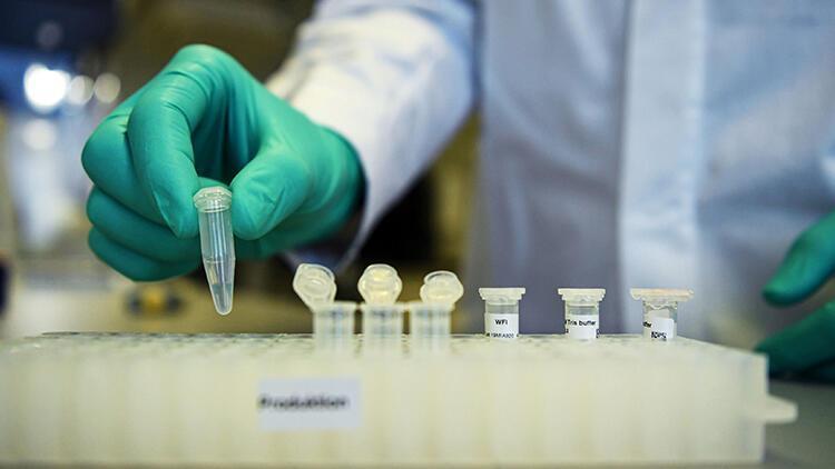 Avusturya’ya riskli olarak belirlenen ülkelerden girişlerde koronavirüs testi zorunluluğu