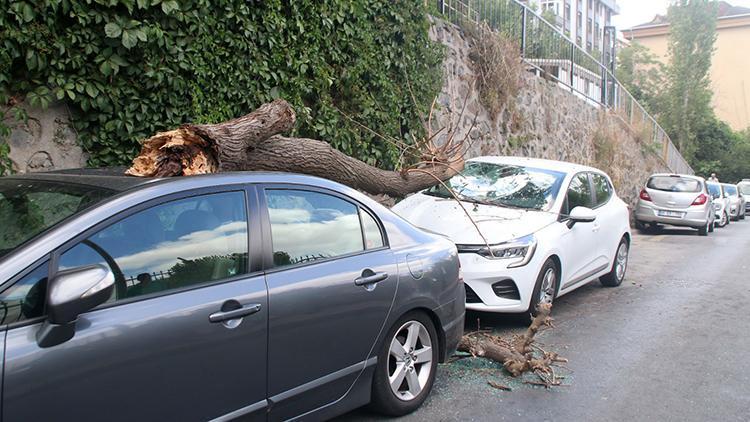 Şişlide park halindeki otomobillerin üzerine ağaç parçası düştü