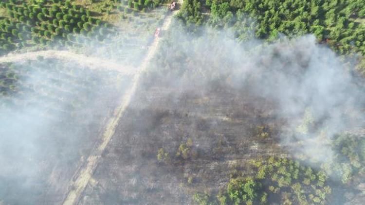 Edirnedeki orman yangını 9 saatte söndürüldü