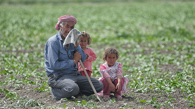 ÇİFTÇİ YAŞLANIYOR