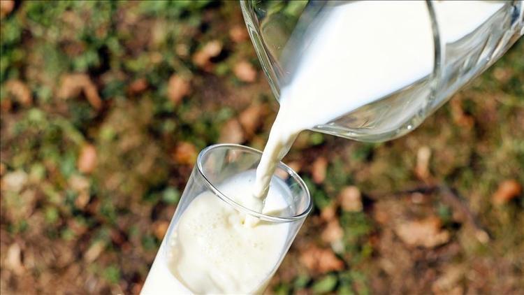 TİGEM Gözlüden günde 37 ton süt üretimiyle ekonomiye katkı
