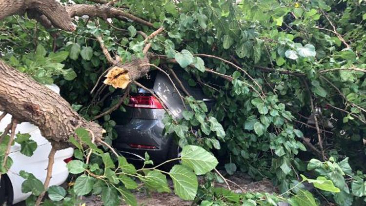 Şişlide çürüyen ağaç dalı 2 otomobilin üzerine böyle devrildi