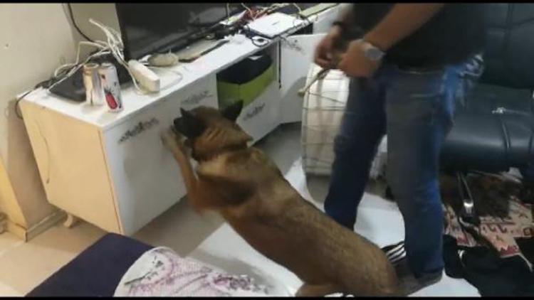 Narkotik köpeği Fırtına ile uyuşturucu operasyonu: 6 gözaltı