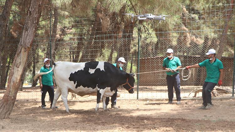 Gaziantepte, kurban yakalama timi eğitimini tamamladı