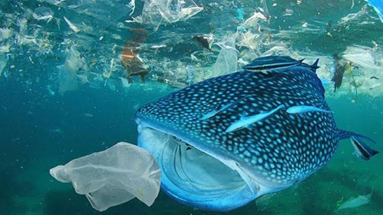 Tek Kullanımlık Plastikler Yasaklansın kampanyasına 500 bin kişiden destek