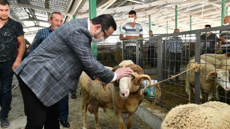 Mustafakemalpaşa Belediye Başkanı Kanar, kurban pazarını ziyaret etti