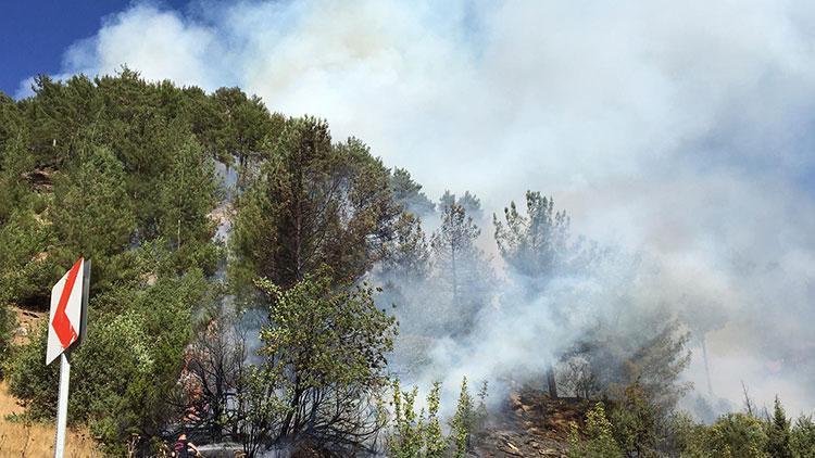 3 ayrı noktada yangın çıktı 7 hektarlık alan zarar gördü