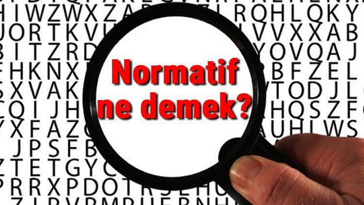 Normatif ne demek Normatif nedir Normatif TDK kelime anlamı