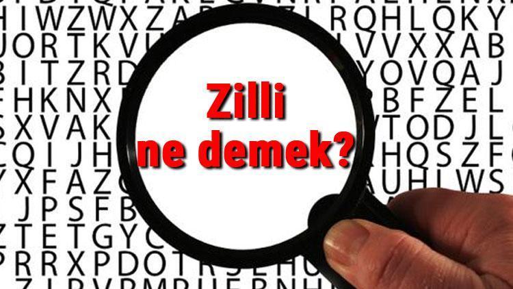 Zilli ne demek Zilli nedir Zilli TDK kelime anlamı