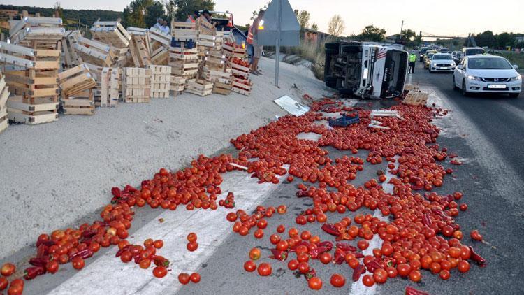 Kamyonet devrildi, domatesler yola saçıldı