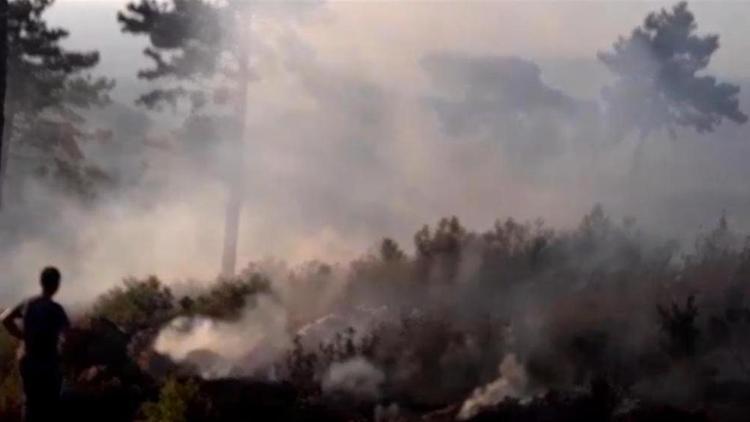 Tarım ve Orman Bakanı Bekir Pakdemirli’den, orman yangınları açıklaması