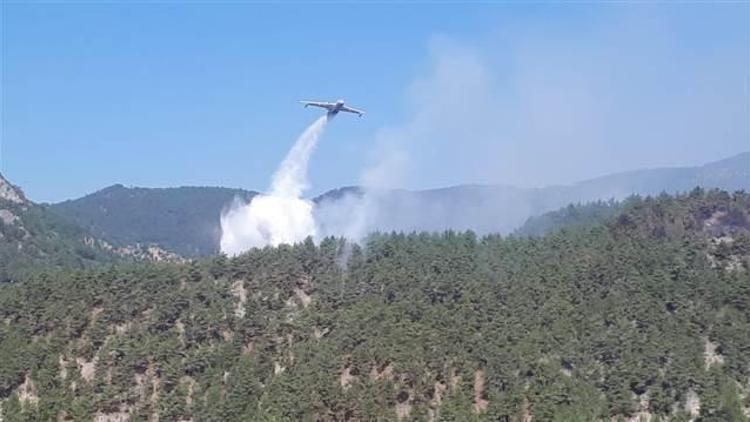 Sinop’taki orman yangını ‘ateş kuşu’nun desteğiyle kontrol altında