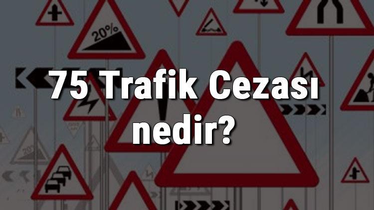 75 Trafik Cezası nedir Madde 75 Trafik Cezası ne kadar Ceza puanı kaçtır (2020)