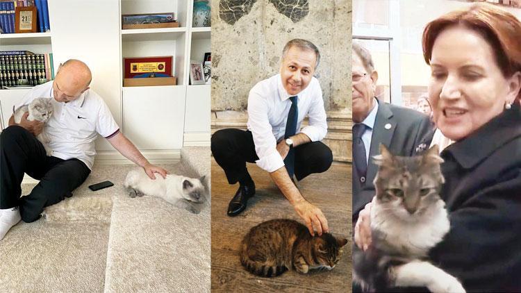 Dünya Kediler Gününde siyasiler de can dostlarını kutladı