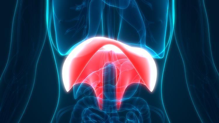 Diyafram yüksekliği nedir? Belirtileri ve tedavi şekilleri
