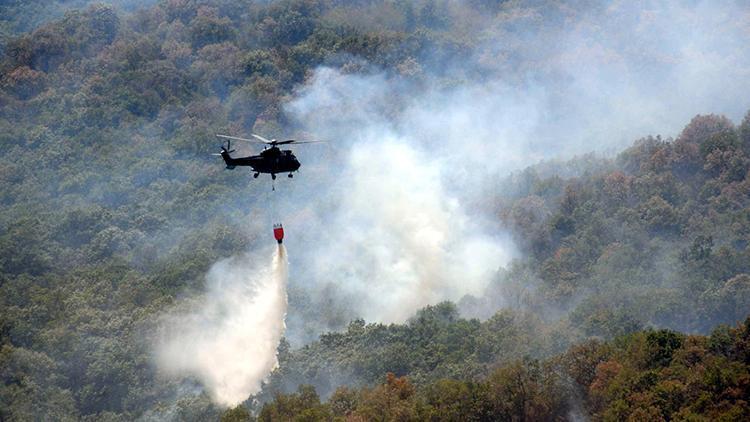 Edirne Valiliği: Bulgaristan sınırındaki yangında tek bir ağacımız yanmadı