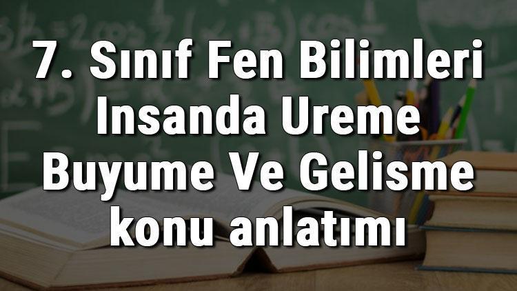 7. Sınıf Fen Bilimleri İnsanda Üreme Büyüme Ve Gelişme konu anlatımı