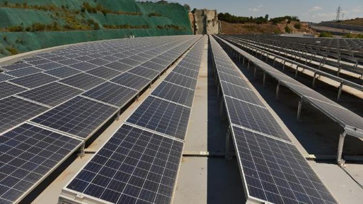 Tuzla’da kurulan Güneş Enerji Santrali 25 bin ağacın kesilmesini önlüyor