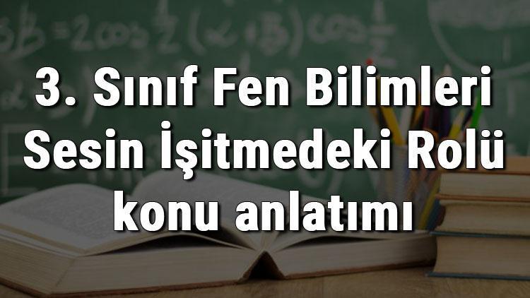 3. Sınıf Fen Bilimleri Sesin İşitmedeki Rolü konu anlatımı