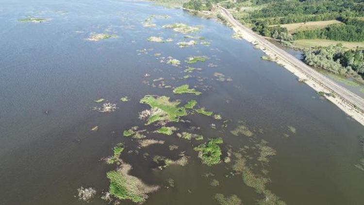 Yüzen adaları karaya oturan Ladik Gölünde bataklık tehlikesi