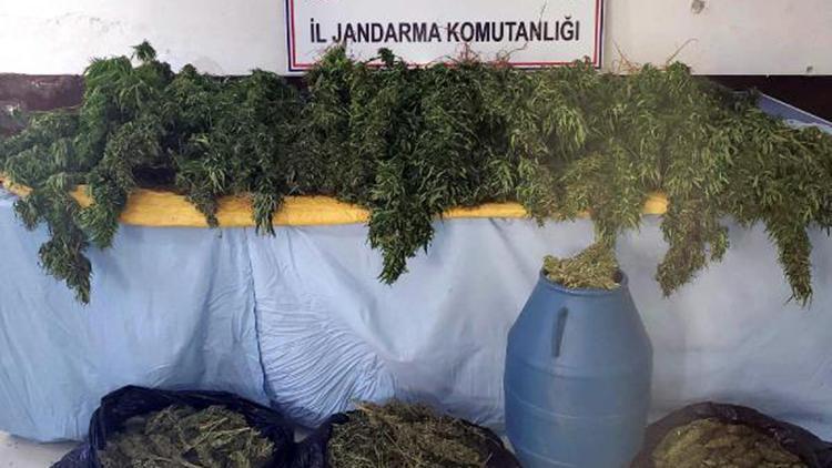 Bitliste 48 kilo kubar esrar ve 2 bin 345 kök kenevir ele geçirildi