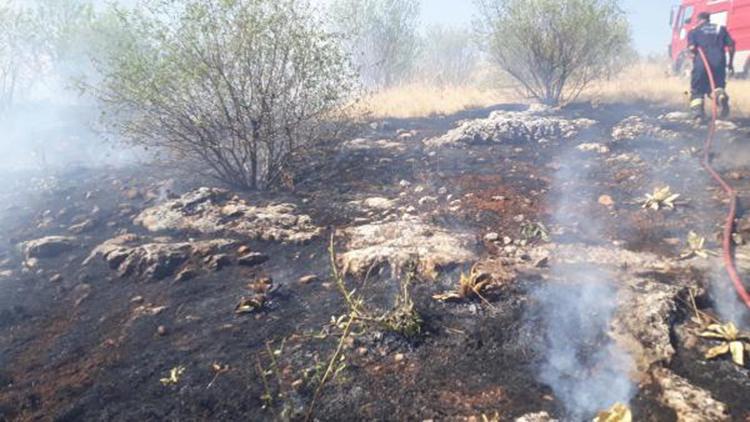Adıyamanda ormanlık alandaki yangında badem ağaçları zarar gördü