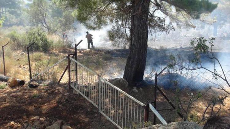 Silifkedeki yangında kızılçam ormanı ve tarım arazisi zarar gördü